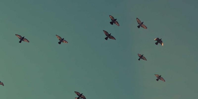 辽宁模具产业集群：从“单点突破”到“区域协同”的升级之路