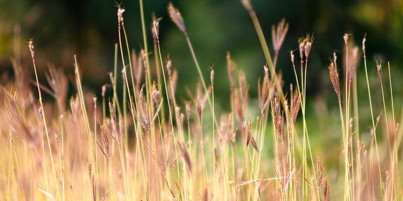 辽宁模具出海：CNC加工与注塑模具如何抢占国际高端市场？